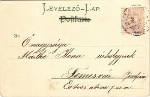 1899 Flowers with spider web. Edgar Schmidt Serie 7012. litho (EK)