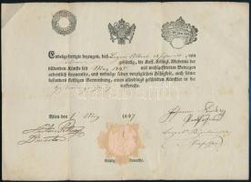1847 Bécsi Művészeti Akadémia tandíj igazolása 6kr szignettával