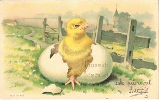 1902 Húsvéti üdvözlet / Easter greeting art postcard, chicken with egg. litho