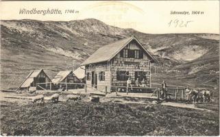 1925 Schneealpe (Steiermark), Windberghütte / chalet, tourist house, mountain, pigs and cows (EK)