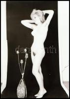 Több fotómodell közreműködésével, eltérő időpontokban készült műtermi akt felvételek; 11 db vintage ...