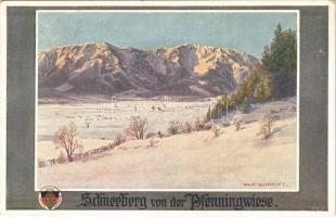 Schneeberg, von der Pfenningwiese. Deutscher Schulverein Karte Nr. 595. s: Rud. Schmidt