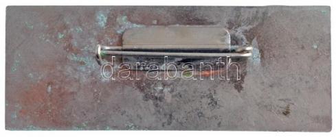 1971. "INTERPRETER (Tolmács)" a Vadászati Világkiállítás műgyantás résztvevői jelvénye (24...