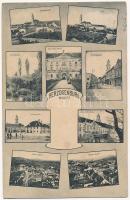 1910 Herzogenburg, Gesamtansicht, Stift, Traisenbrücke, Stifts Nord-Portal, Kirchengasse, Rathausplatz, Stifts Kellerstübel, Oberer Markt, Unterer Markt / general view, monastery, bridge, street view, town hall, bicycles. Verlag v. Ludwig Petschka (EK)