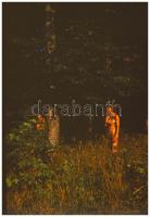 cca 1972 Fészekrakók, aktfotózás az erdőben; Czakó László (?-?) pécsi fotóművész hagyatékából 11 db vintage DIAPOZITÍV felvétel, 24x36 mm
