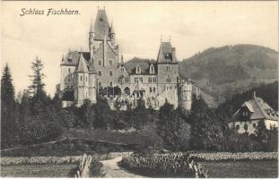 Bruck an der Großglocknerstraße, Schloss Fischhorn / castle