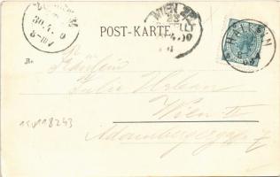 1900 Hallein (Salzburg), Ausfahrt / salt mine, exit. Art Nouveau, floral (EK)