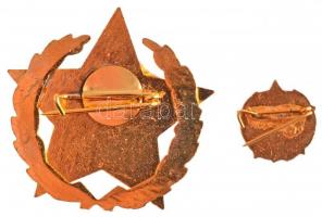 ~1960-1970. "Gépipar Kiváló Dolgozója" műgyantás fém jelvény és miniatűr, eredeti tokban T...