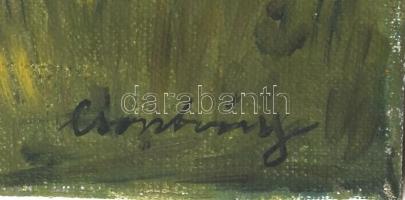 Csontváry jelzéssel: Hajók. Olaj, vászon. 50x85 cm