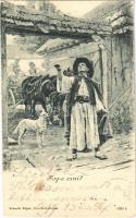 1899 Fog-e esni? / Hungarian folklore art postcard (fl)