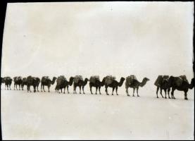 cca 1930 Utazás egzotikus tájakon, helyeken (tevekaraván, romok és műemlékek, stb...) további kutatá...