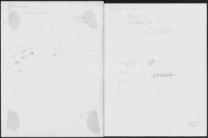 cca 1975 Zsigri Oszkár budapesti fotóművész hagyatékából 5 db vintage fotó, feliratozva vagy pecsétt...