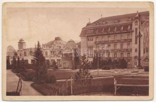 Pöstyén, Piestany; Thermia Palace Hotel szálloda és Irma fürdő / hotel, spa, bath (ázott / wet damage)