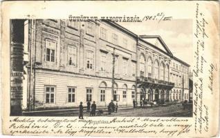 1903 Kaposvár, Megyeháza (fa)
