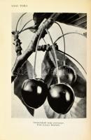Rapaics Raymund: A magyar gyümölcs. Bp.,1940, Kir. M. Természettudományi Társulat, 350+2 p.+XXXIV t....