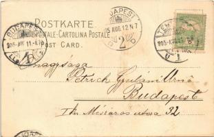 1905 "Aus dem Gemusegarten" Meissner & Buch Künstler-Postkarten Serie 1220. litho s: C...