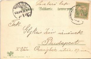 1902 Serie "Böhmische Volkslieder" No. 6. / Czech folklore art postcard. litho (EK)