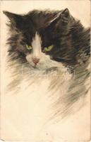 Cat art postcard. T.S.N. Ser. 964. (6 Dess.) litho (EK)
