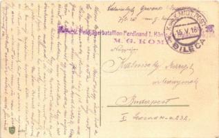 1918 Cats reading. G.O.M. 2181. litho + "K.u.K. Feldjägerbataillon Ferdinand I. König der Bulga...