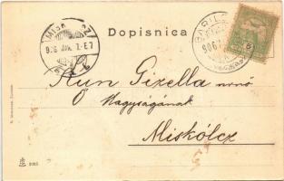 1906 Barilovic, látkép, híd / general view, bridge (fl)