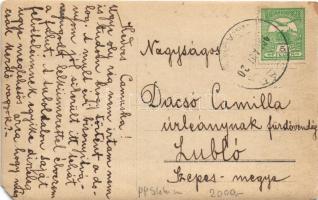 1908 Dunakeszi, kiránduló férfi kutyával. photo  (EM)