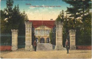 Dárda, Schaumburg-Lippe György hercegi kastély bejárata. Arady Lajos kiadása / castle entry