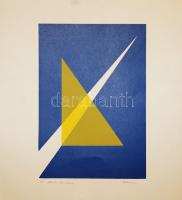 Ádám Izabella szignált szitanyomat 32x35cm