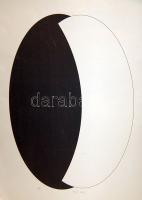 2005 Fajó János (1937-) szignált szitanyomat 50x70 cm