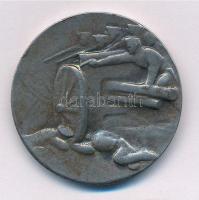 Murányi Gyula (1881-1920) 1915. "A Krasniki diadalmas csatában az oroszoktól elvett ágyúból ver...