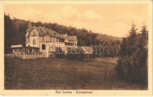 Bad Sachsa, Berghotel Eulingswiese / hotel, restaurant