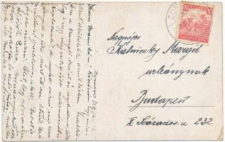 1918 Lady with cat, art postcard s: Usabal (EK)