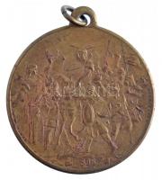 1896. "Ezredéves Történetünk Ezredekre Remény Nekünk - Honfoglalás" millenniumi Br emlékér...