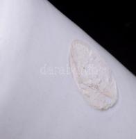 Antik "Porcelán Kőszénbánya s Téglagyár Porcellán-Fayencegyár Kőszénbánya s Téglagyár Porcellán...