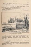 Aradi vértanúk albuma. Arad sz. kir. város közönsége és az aradi "Kölcsey-Egyesület" megbí...