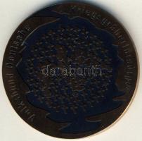 NSZK DN "Katonasírok" dekoratív Br emléplakett T:1 Díszdobozban!