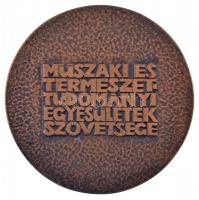 Asszonyi Tamás (1942- ) 1976. "MTESZ / Műszaki és Természettudományi Egyesületek Szövetsége&quo...