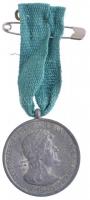 1940. Erdélyi részek felszabadulásának emlékére Zn emlékérem nem eredeti mellszalaggal. Szign.:BERÁN L. T:2 Hungary 1940. Commemorative Medal for the Liberation of Transylvania Zn medal with not original ribbon. Sign.:BERÁN L. C:XF NMK 428.