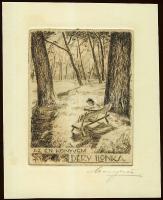 Szignált ex libris rézkarc 13x16 cm