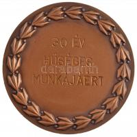 1972. "Öntödei Vállalat" kétoldalas Br emlékérem, hátoldalon gravírozva "30 ÉV HŰSÉGE...