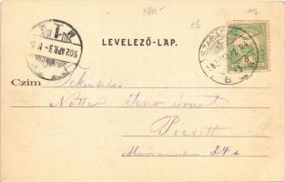 1902 Palics, Palic (Szabadka, Subotica); evezős csónakok. Vig Zsigmond kiadása / rowing boats, lake ...