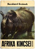 Bernhard Grzimek: Afrika kincsei. Harcok Afrika állatvilágáért. Bp., 1968, Táncsics. Kiadói egészvászon-kötés, kiadói javított papír védőborítóban.