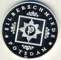 NSZK 1993. "1000 éves Potsdam" Ag emlékérem 31,4g T:PP