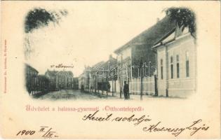 1900 Balassagyarmat, Otthon telep (Rb)