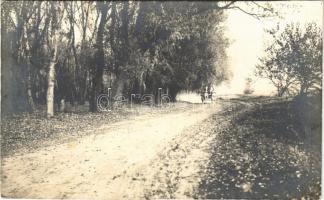 1912 Gyorok, Ghioroc; erdő, lovaskocsi / forest road, horse cart. photo