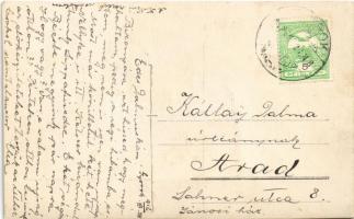 1912 Gyorok, Ghioroc; erdő, lovaskocsi / forest road, horse cart. photo