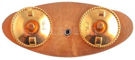 1980. "A Magyar Népköztársaság Űrhajósa" aranyozott, műgyantás jelvény (26x60mm) T:1