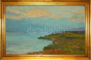 Somogyi János (1928- ): Balatoni táj, olaj-tempera, farost, keretben 60x90 cm