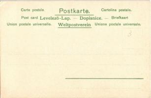 Lady art postcard litho s: M.Z. (EK)