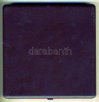 NSZK DN "Albert Schweitzer" nagyalakú, dekoratív Br plakett T:1 Díszdobozban!