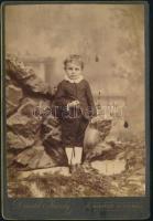 cca 1885 Gyerekportré, keményhátú fotó Divald Károly budapesti/eperjesi műterméből, 16×10,5 cm